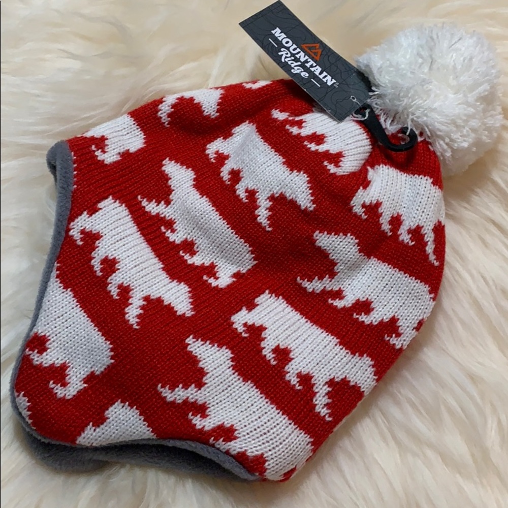 ✨host pick✨Polar bear pom pom hat